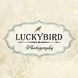 Luckybird Photo logo